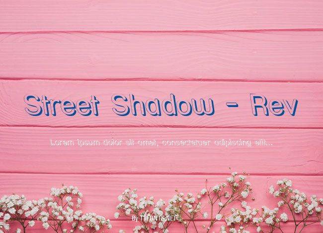 Street Shadow - Rev example